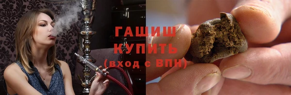 гашик Алексин
