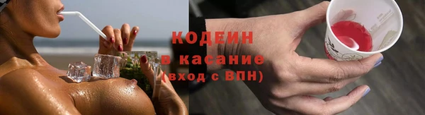 гашик Алексин