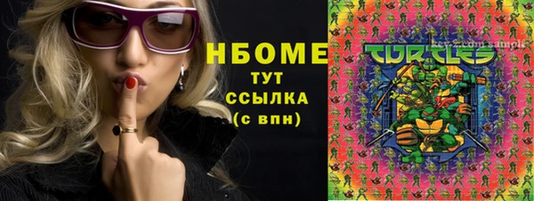 гашик Алексин