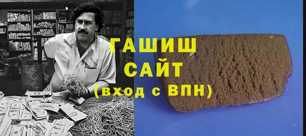 гашик Алексин