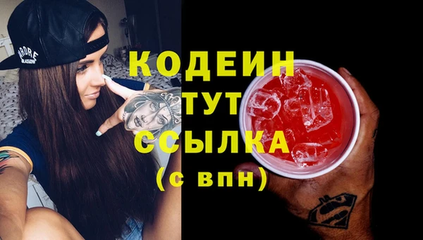 гашик Алексин