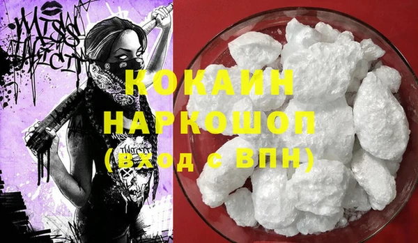 гашик Алексин