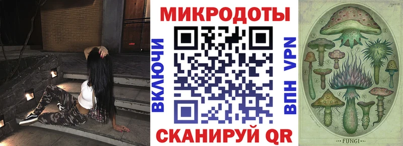 Галлюциногенные грибы Psilocybe  Павловская 